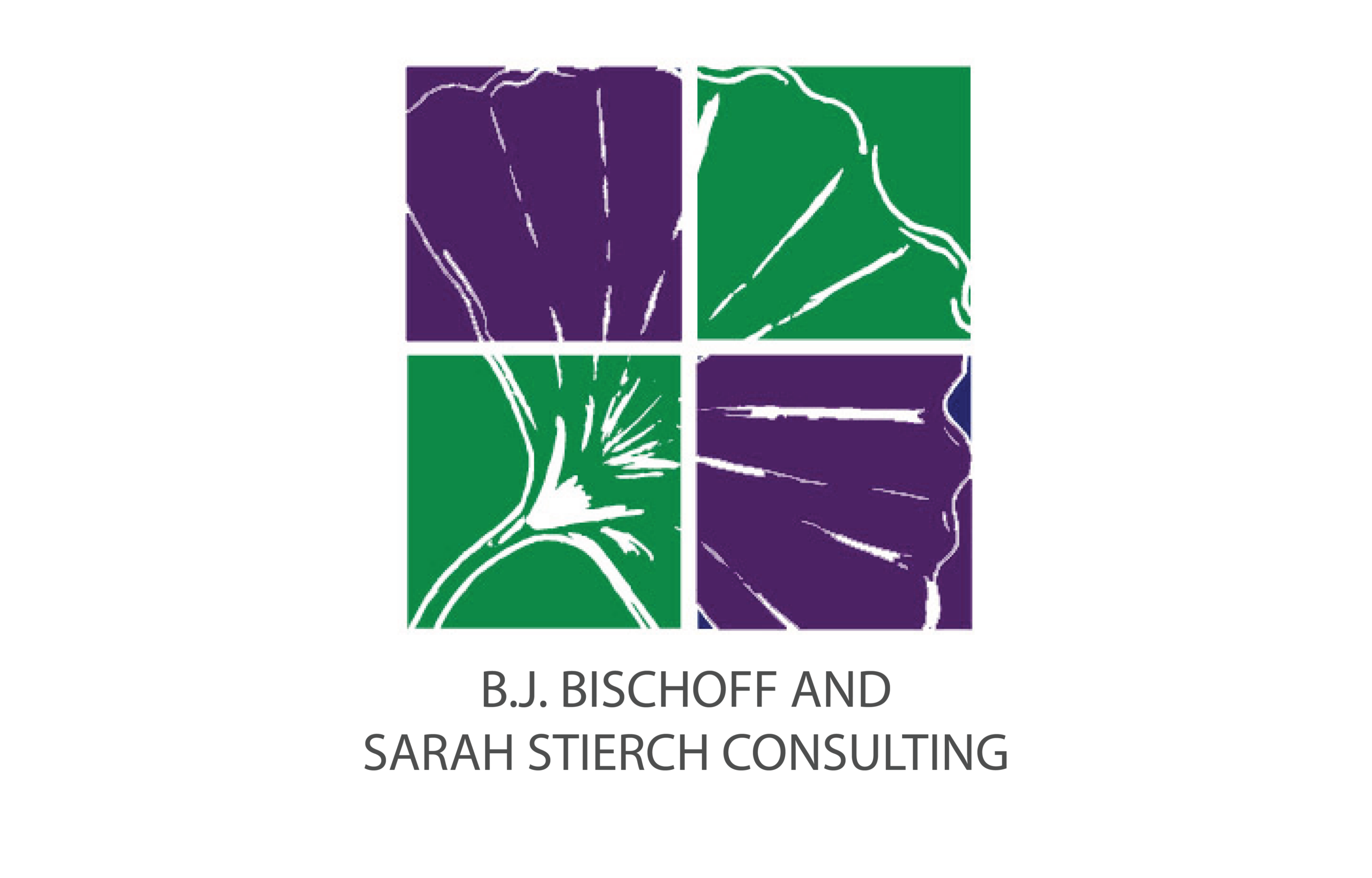 B.J. Bischoff and Sarah Stierch Consulting